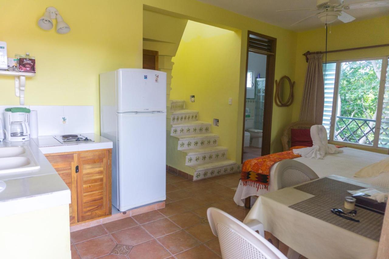 Sea Hawk Suites Isla Mujeres Zewnętrze zdjęcie